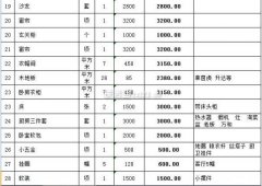 从只需要采办家具家电、软拆
